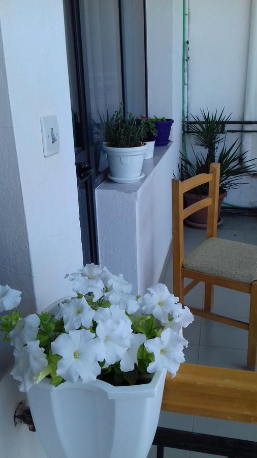 Kruja Hostel Экстерьер фото